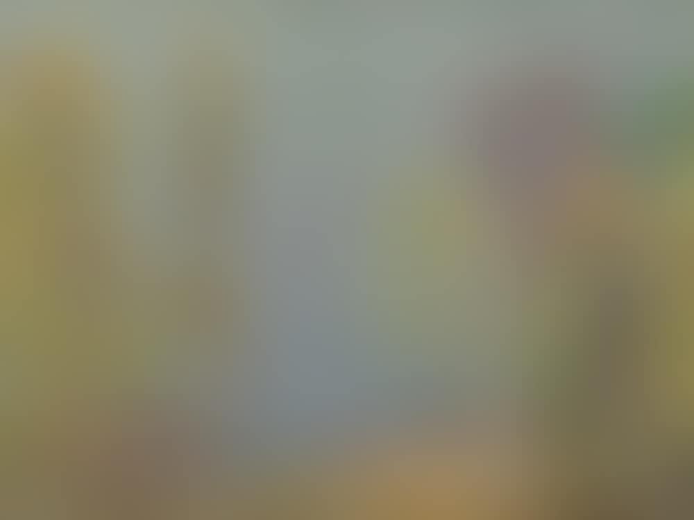 Landscape (preview)