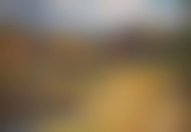AUTUMNAL LANDSCAPE (preview)