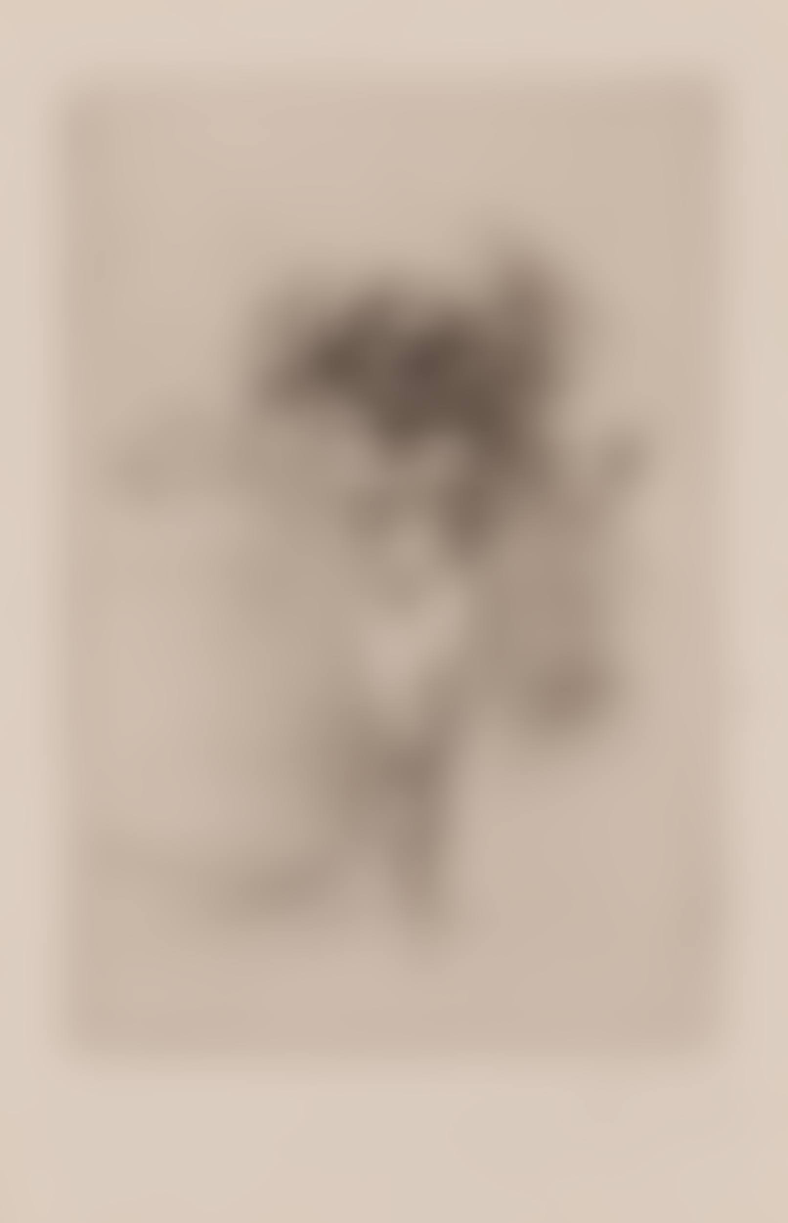 Les Printemps (preview)