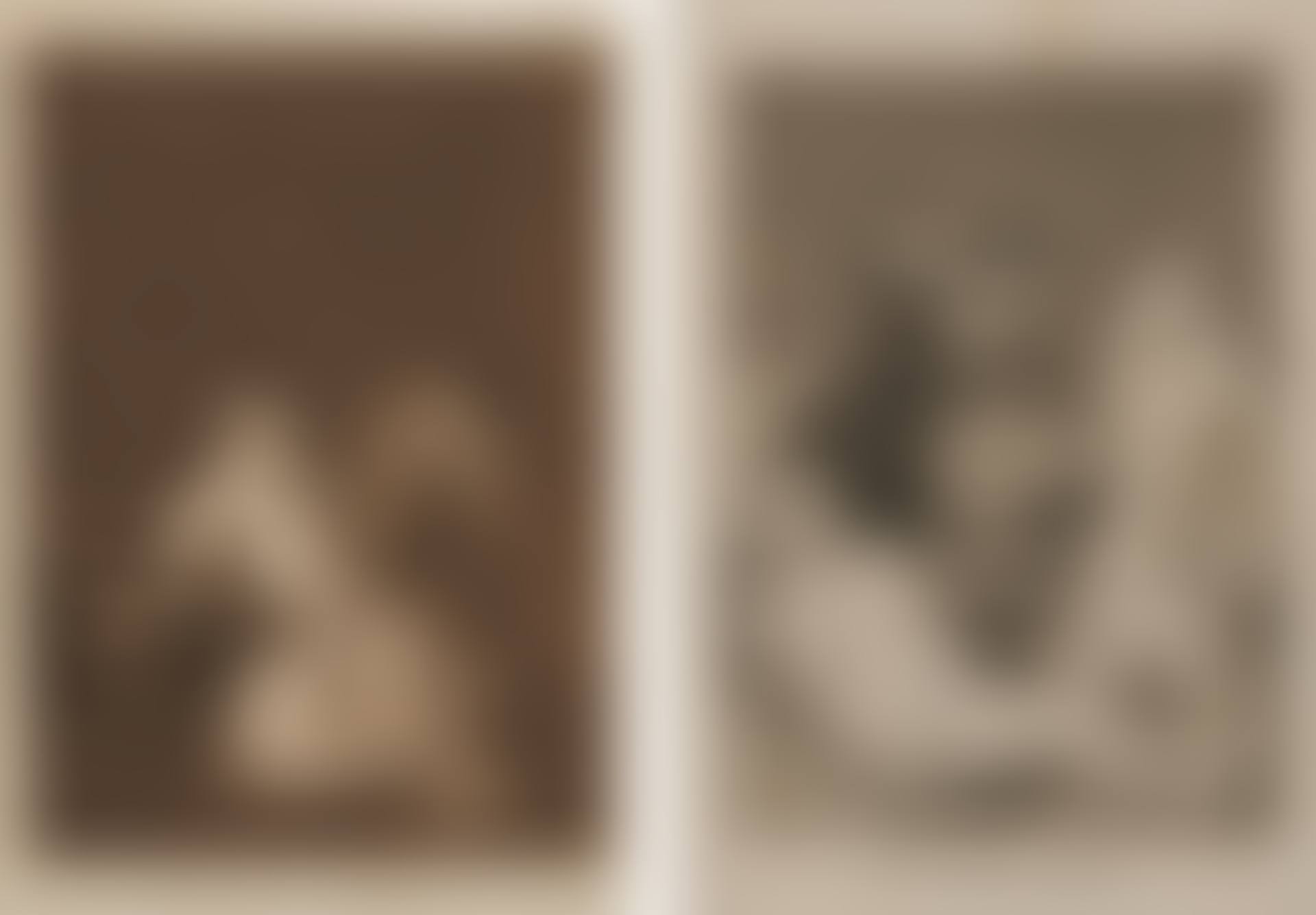 Two Plates From Los Caprichos: El De La Rollona And Los Chinchillas; Los Chinchillas, plate 50 from Los Caprichos; El de la Rollona, plate 4 from Los Caprichos (preview)