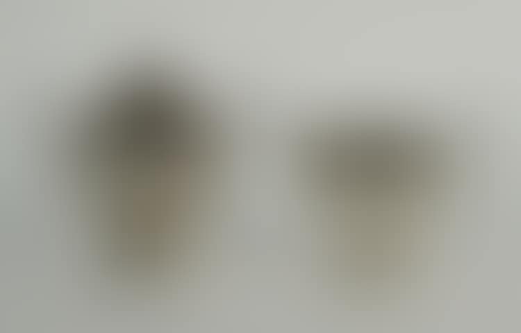 AMERICAN SILVER CREAMER AND COVERED SUGAR (preview)