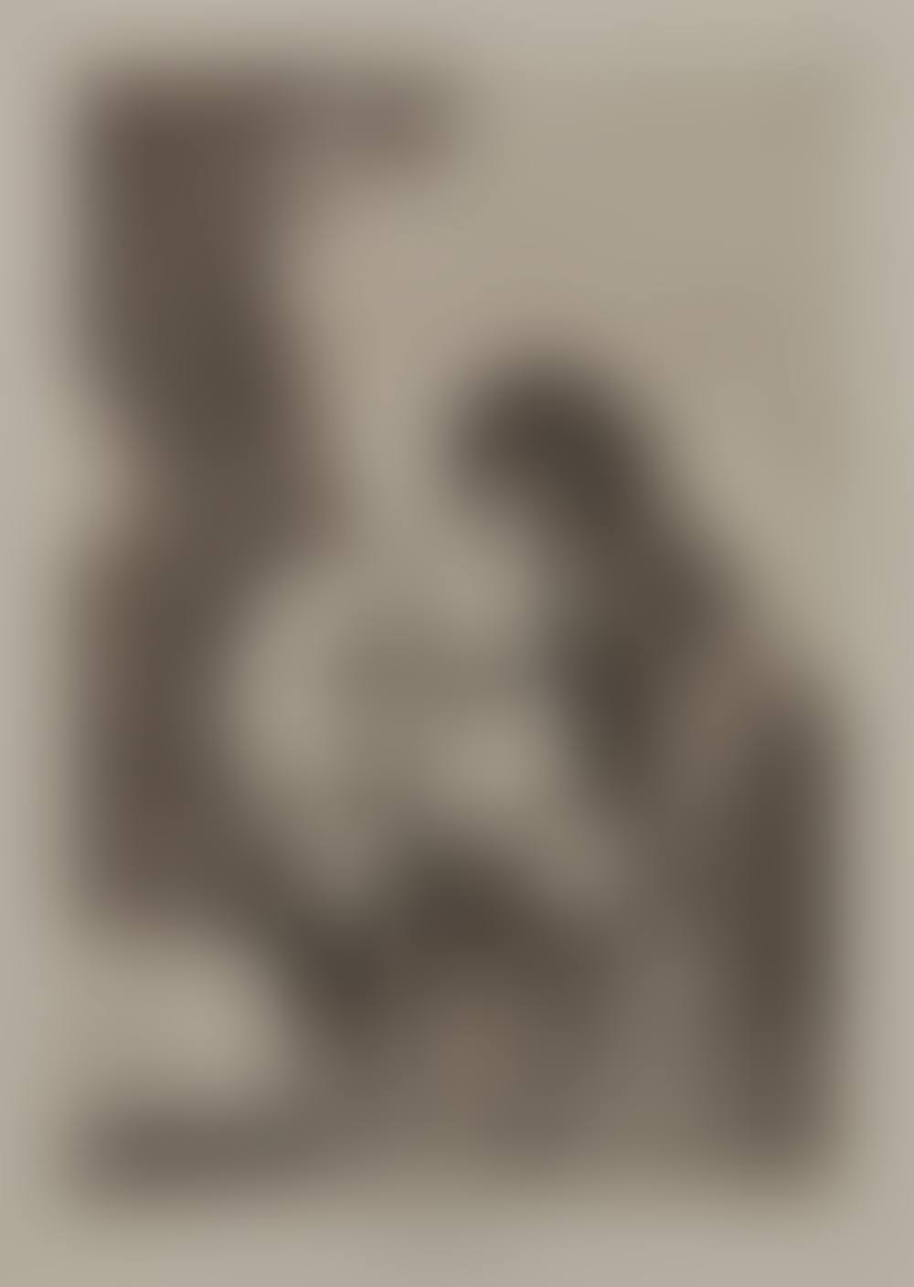 Chiton; plate 28 from Los Caprichos; Woman (preview)