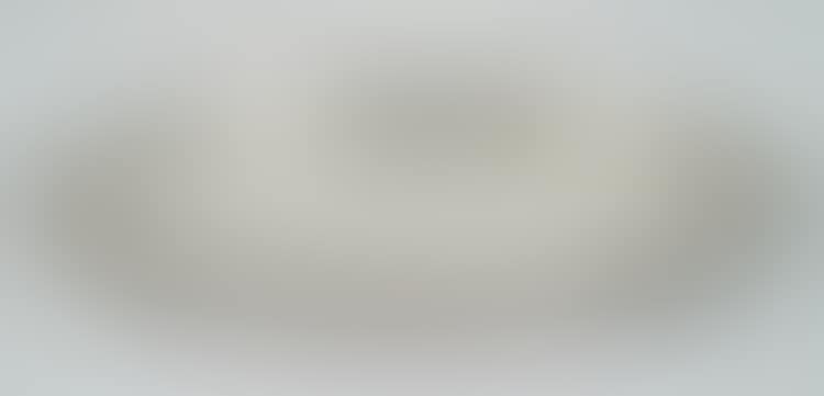 AMERICAN SILVER TWO HANDLED TRAY (preview)