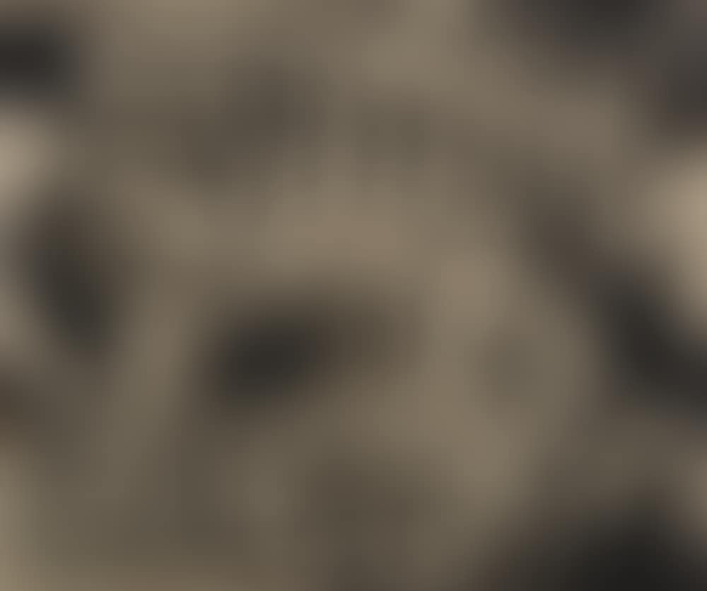Tiger (Tiger) (preview)
