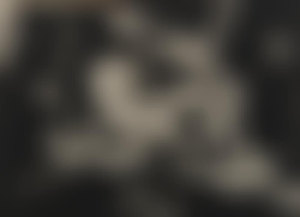 Dir Stier (Bull Steer) (preview)