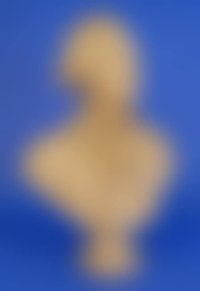 BUST OF THOMAS JEFFERSON (preview)
