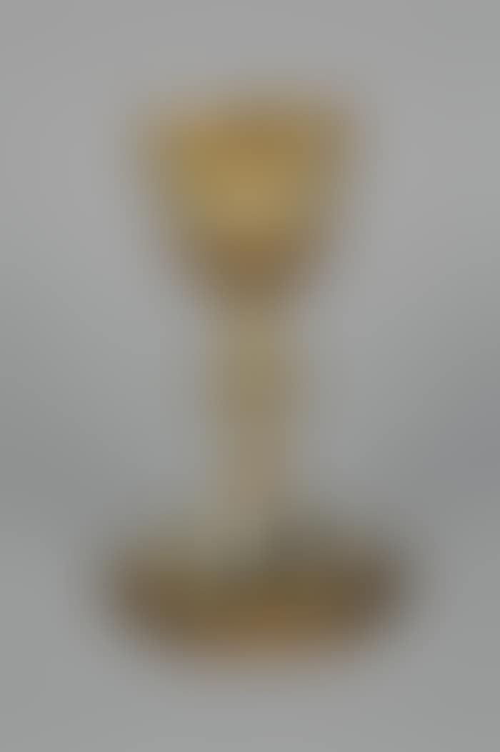 AMERICAN GILT SILVER CHALICE (preview)