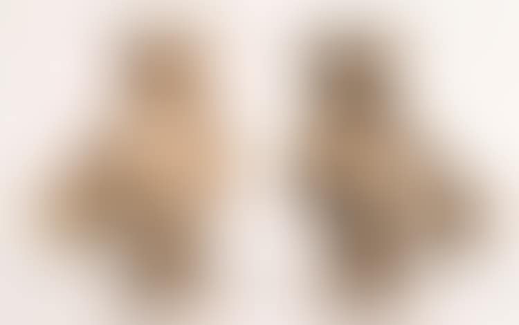 TWO "CHOUETTE" VASES (preview)