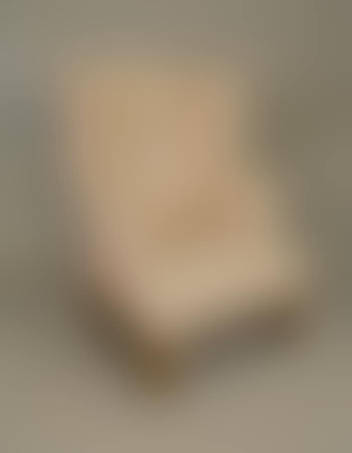 AMERICAN GRAIN PAINTED UPHOLSTERED WING CHAIR (preview)