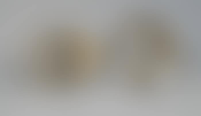 TWO GERMAN SILVER SERVING DISHES (preview)