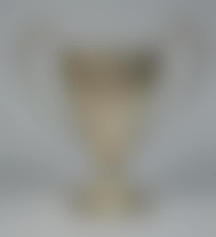 AMERICAN SILVER TWO HANDLED TROPHY CUP (preview)