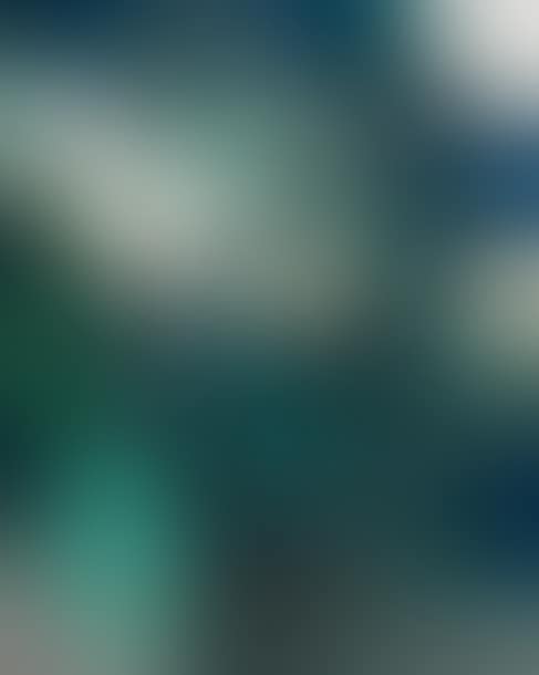 Jungle, composition (preview)