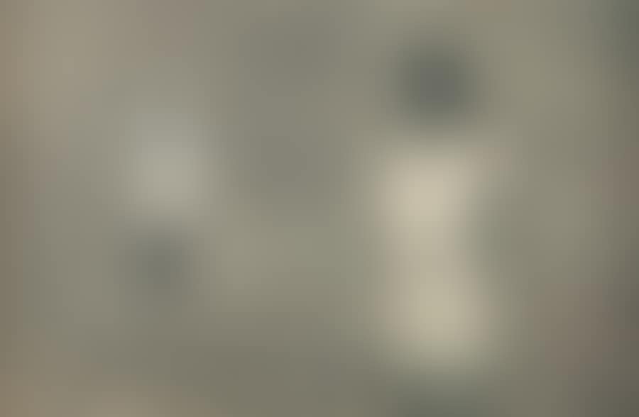 Untitled (preview)