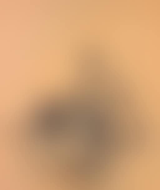 Study of heads (preview)