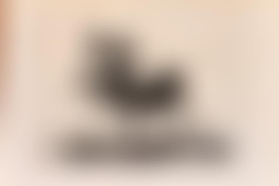 Blind man taken on the horns of a bull (preview)