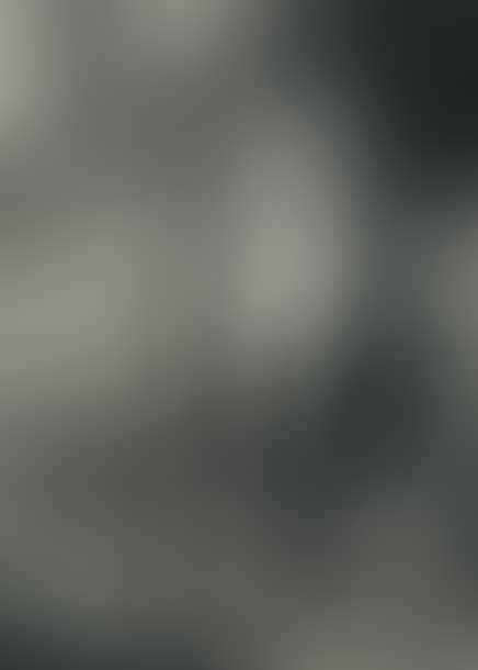 SHOWCASE FOR ARCANE 17 (preview)