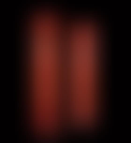 Screen or double door with six chamois (preview)