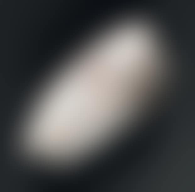 Rare “Cypraea Pantherinon” type shell (preview)