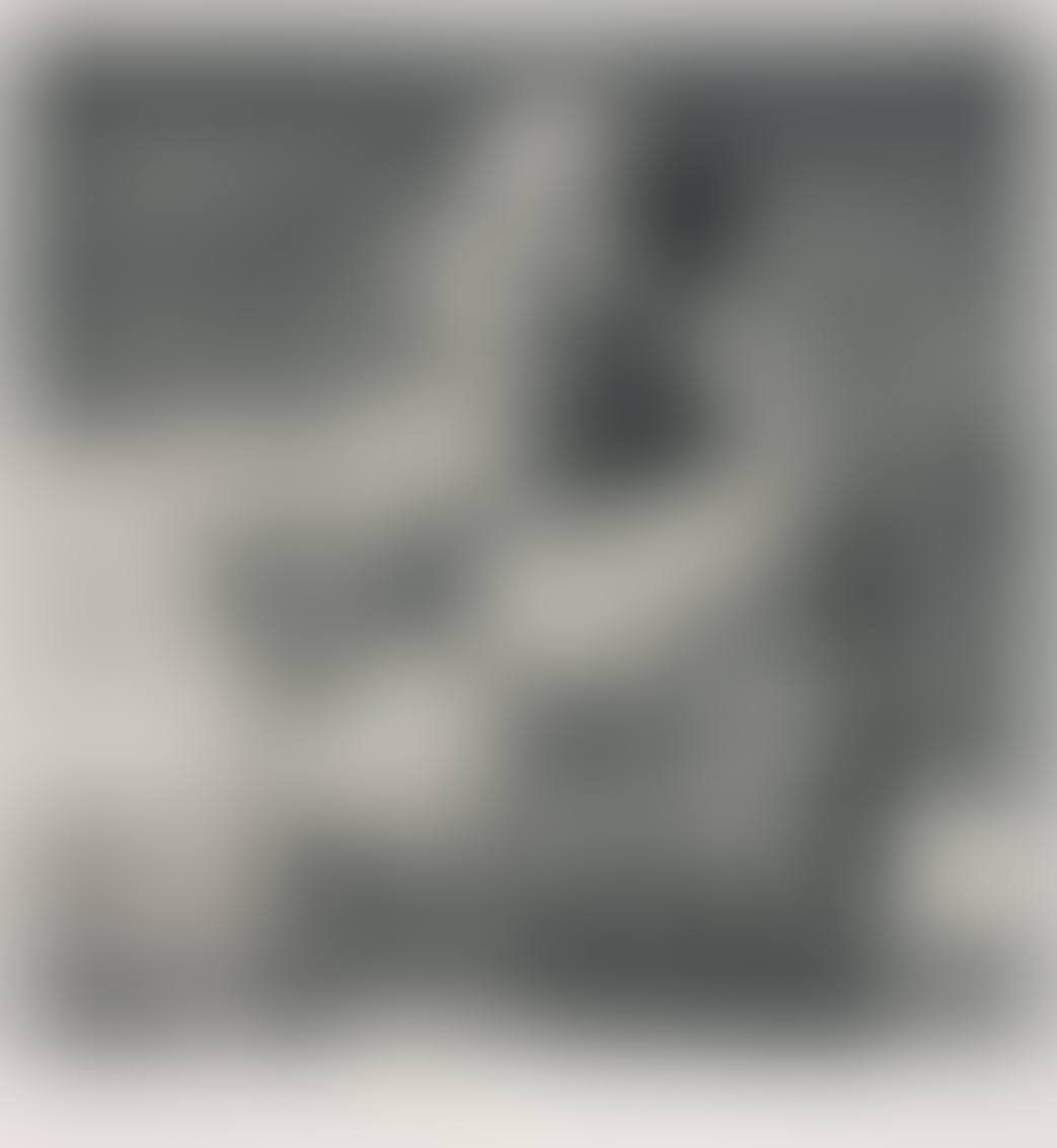 Mao. (Pl. for Icons portfolio) (preview)