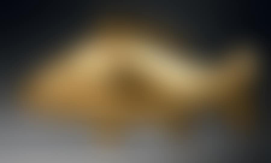 La carpe d"or (preview)