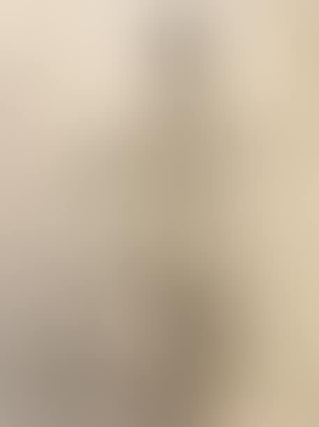 The guitarist (preview)
