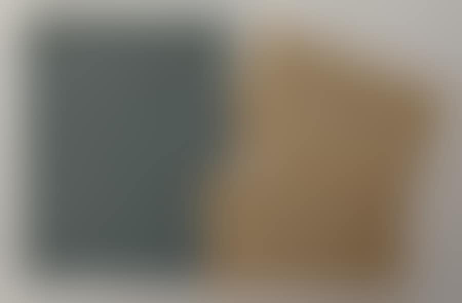 LET"S TALK ABOUT SOMETHING ELSE (preview)