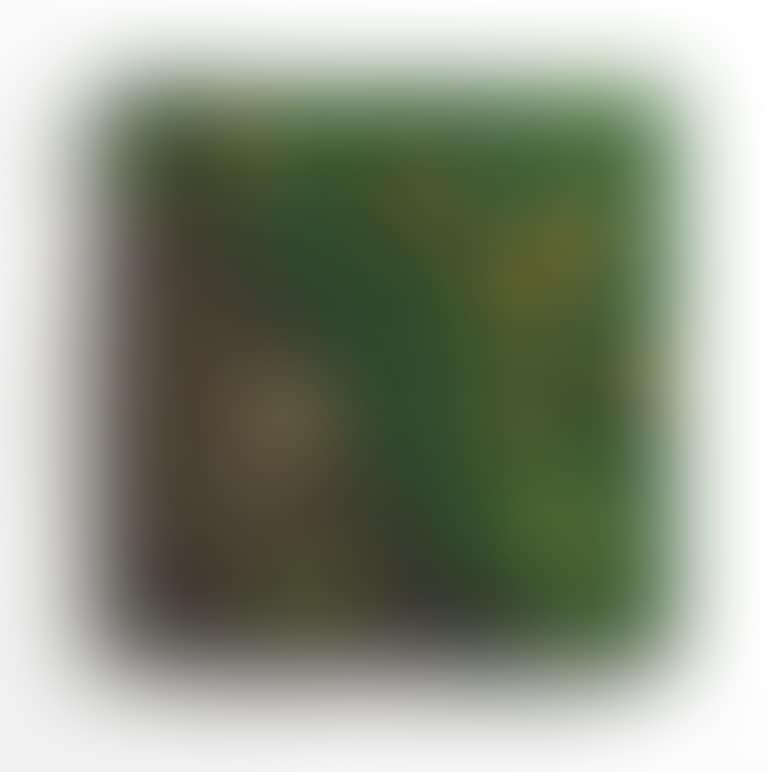Untitled (preview)