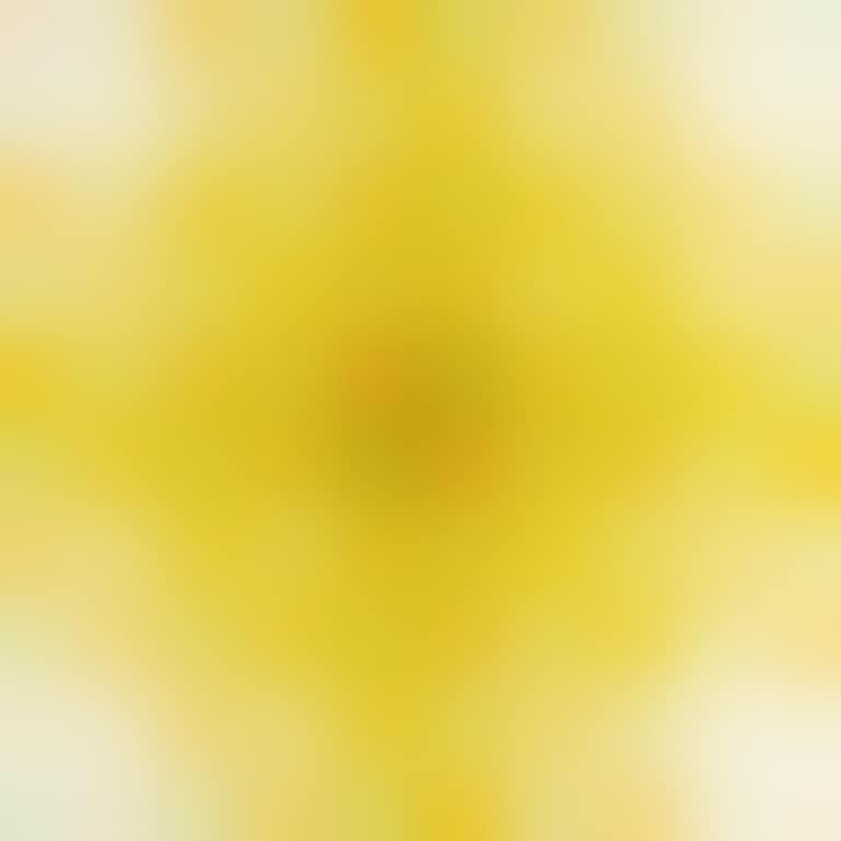 Lumiere Extérieur (preview)