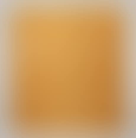 Folding screen; model number 100 (preview)