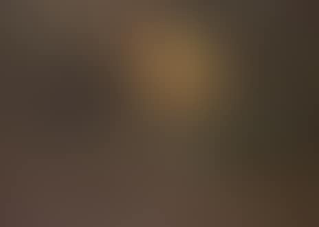 Forest glade at sunset (preview)