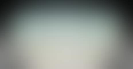 Bowl. "Perruches" (preview)