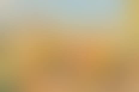 Northern landscape (preview)