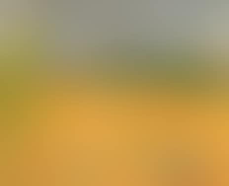 Mountain landscape (preview)