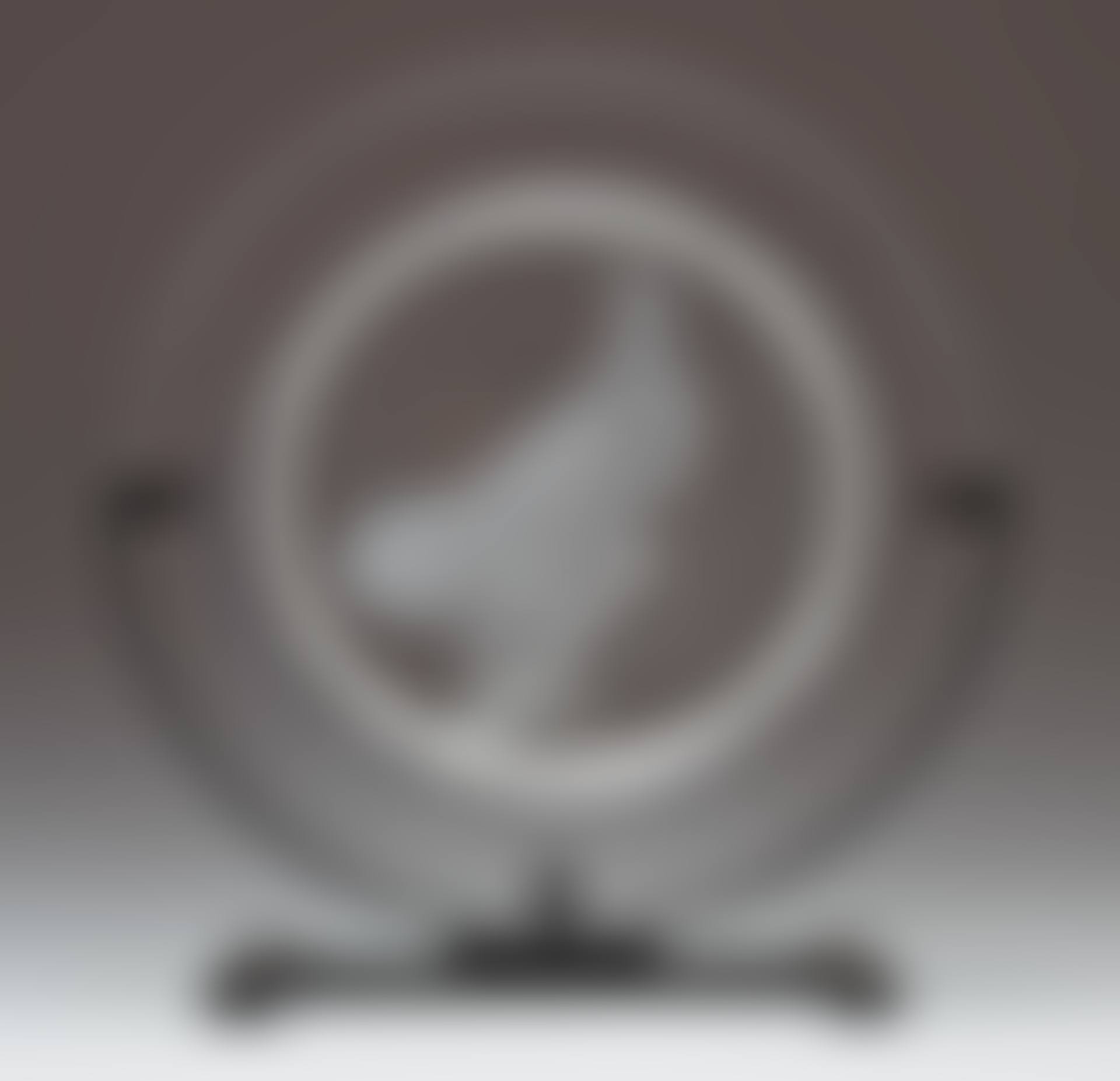 barrel (preview)