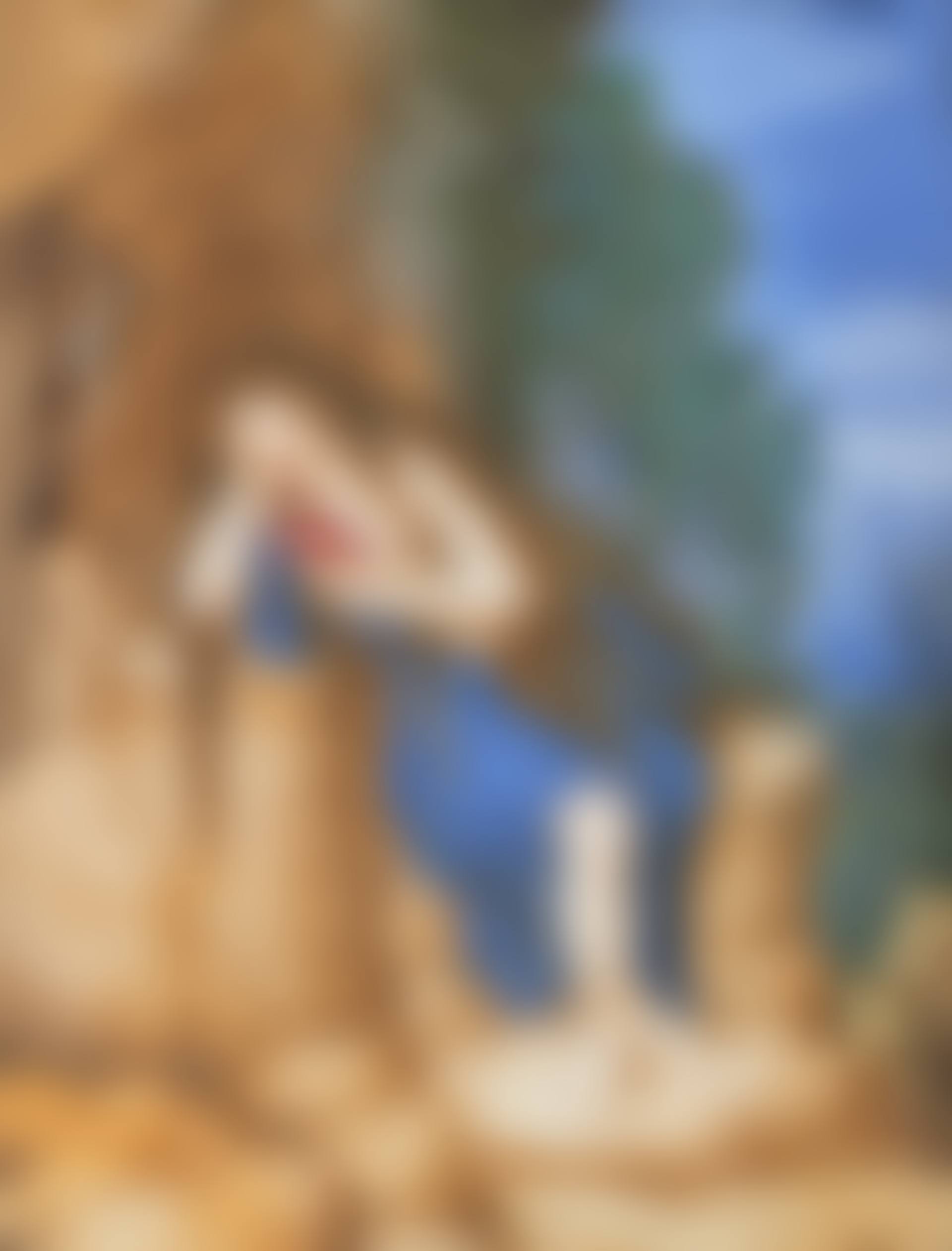 Mary Magdalene in the wilderness (preview)