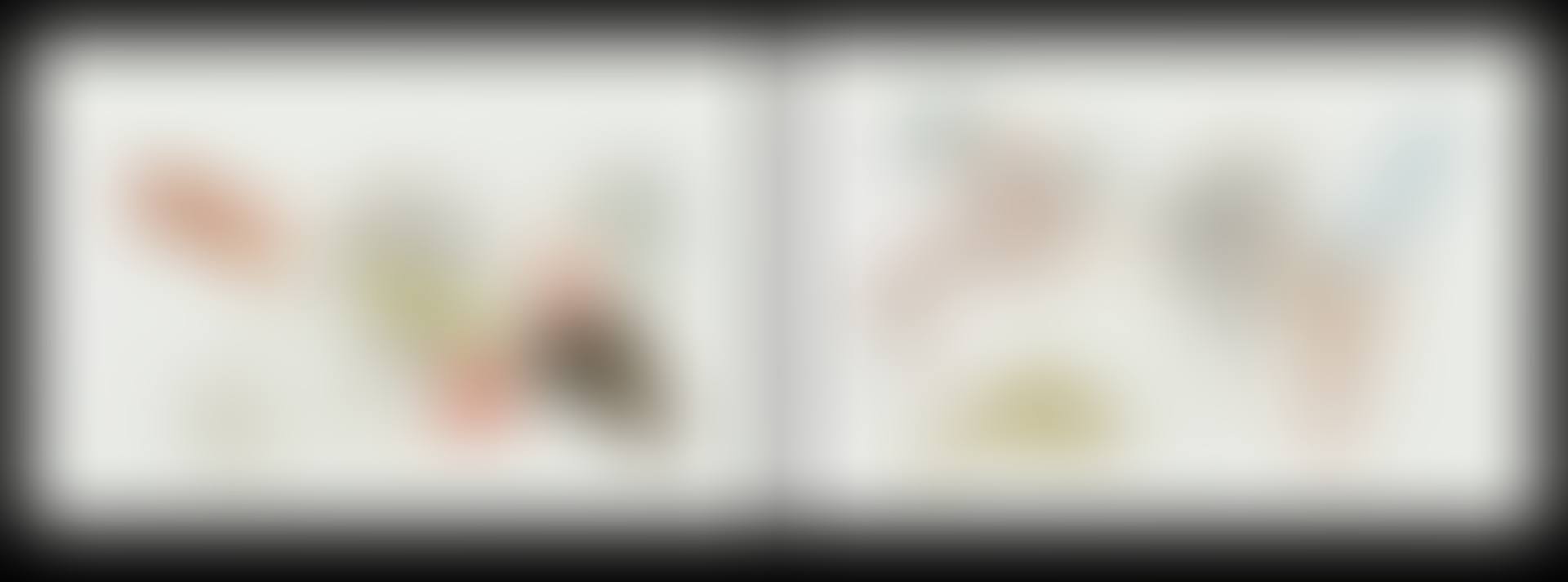 Two porcelain plaques (preview)