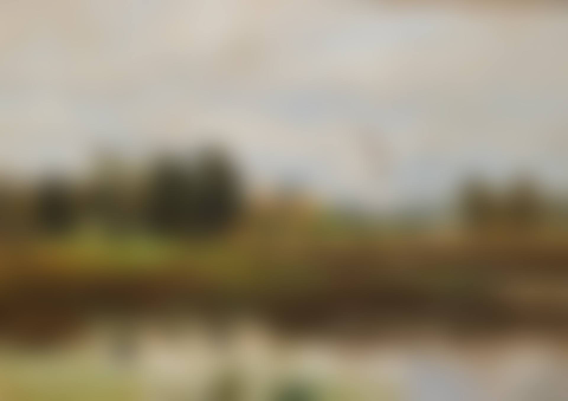 Landscape with lifting mallards (preview)