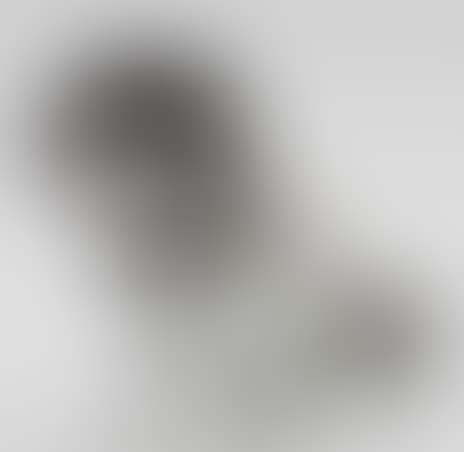 The figurine in the form of a dog (preview)