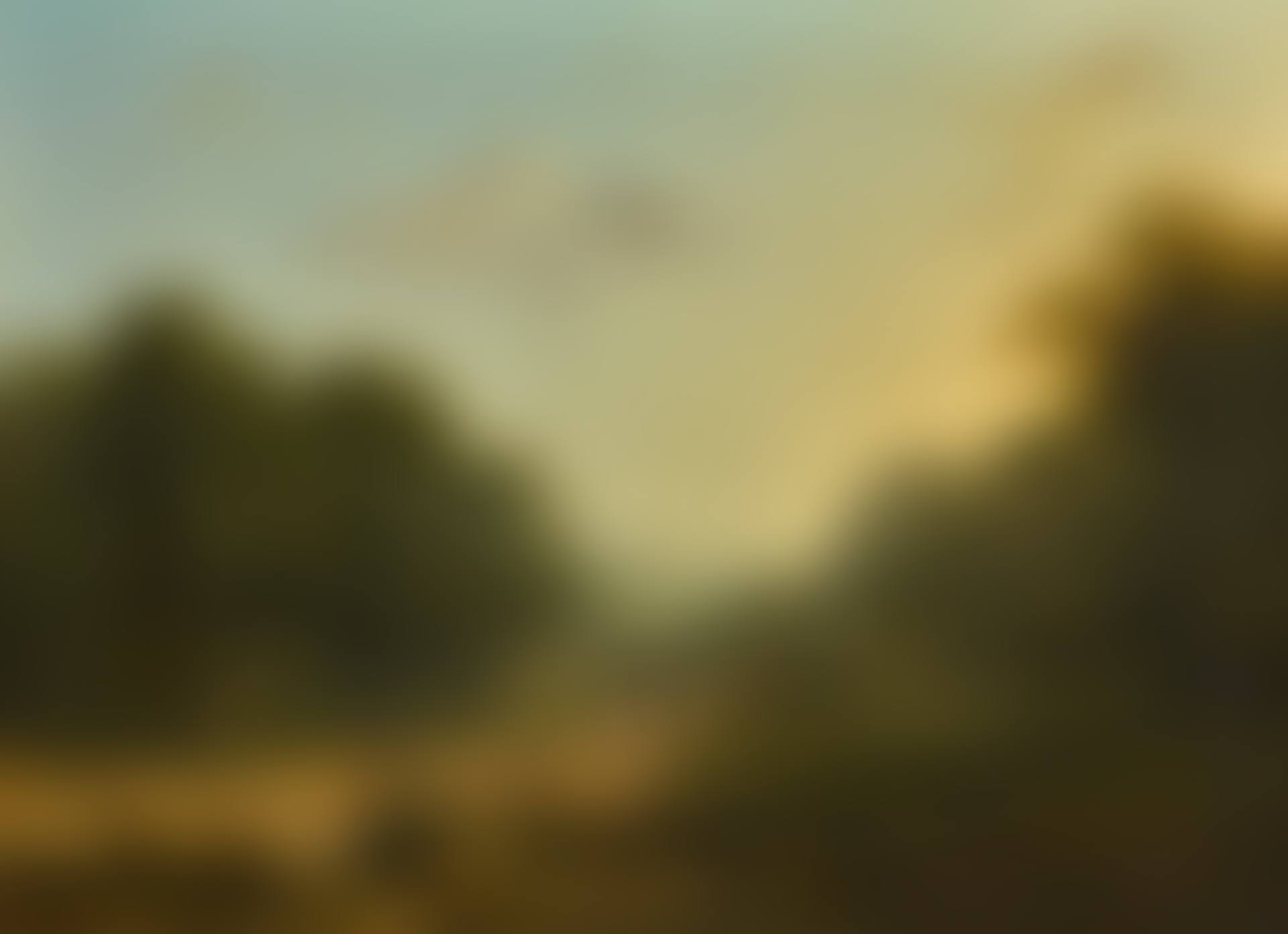 A WOODED LANDSCAPE WITH FIGURES ON A PATH AND RUINS ON A HILL IN THE DISTANCE (preview)