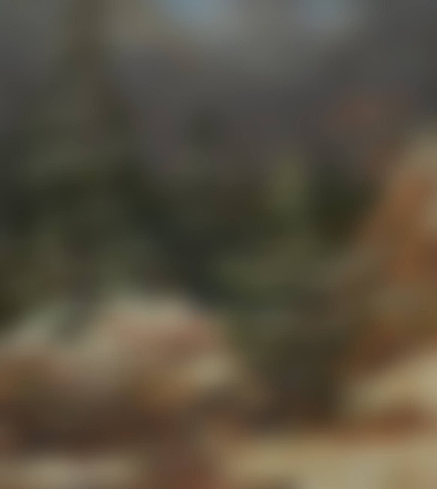 WINTERLANDSHAFT MIT RABEN (B 823) (preview)