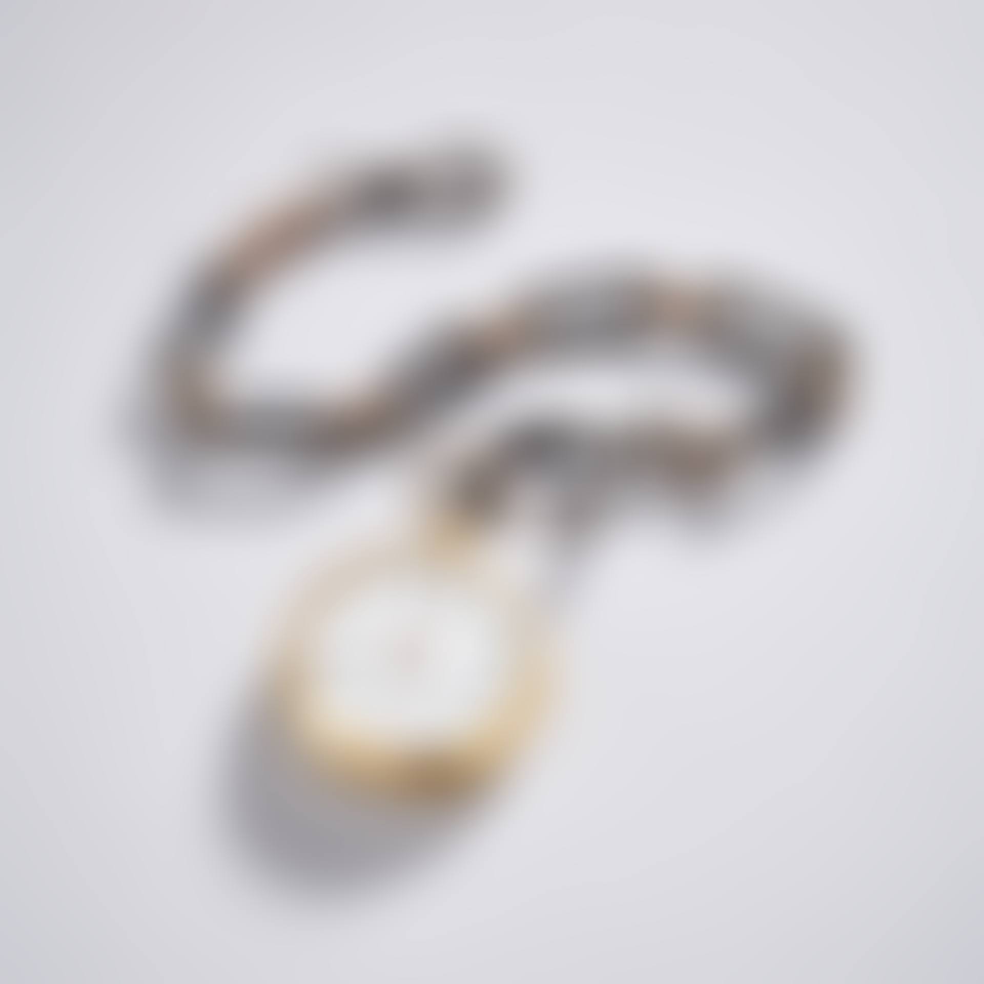 Women"s pocket watch Outer case (preview)