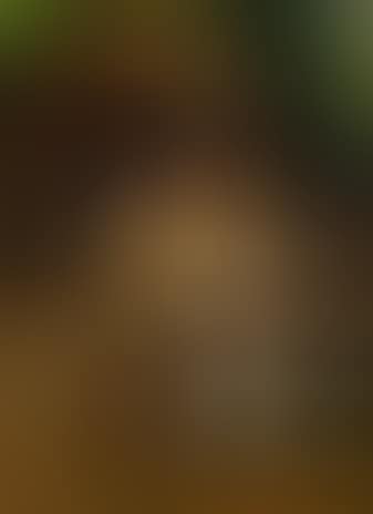 Courtship (preview)