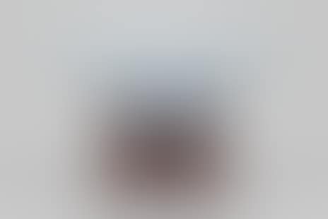 Bowl (preview)