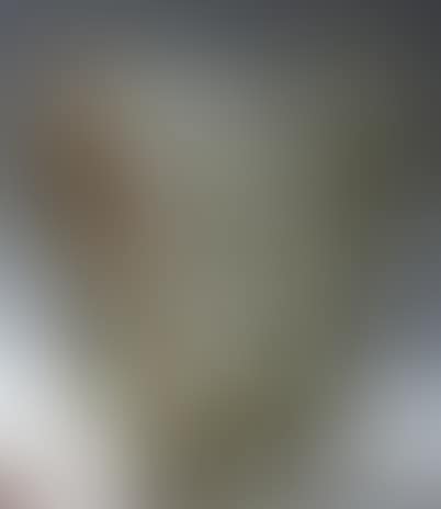 Vase. "Rampion (Cabouchons et fleurettes)" (preview)