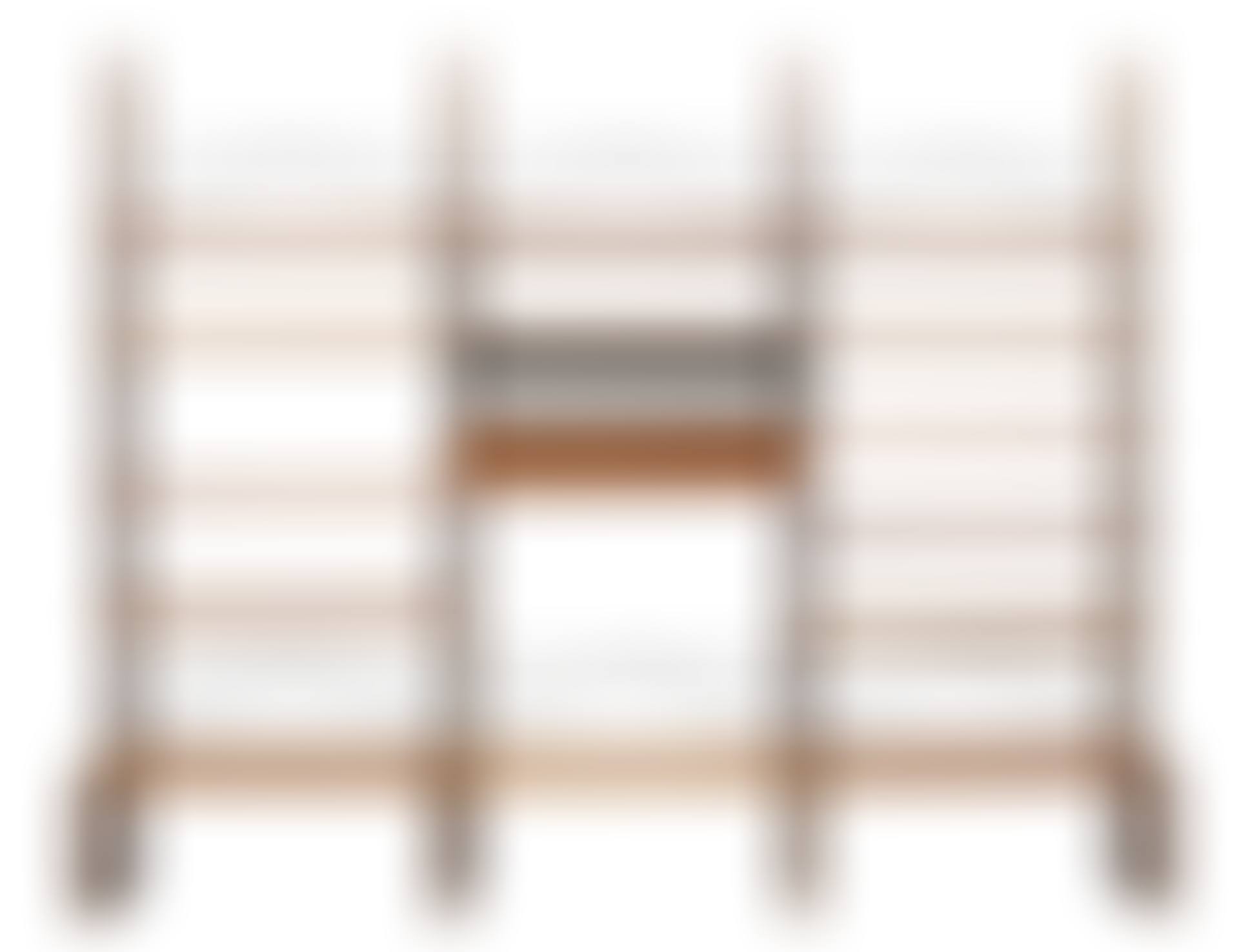 Bookcase system "Royal system" (preview)