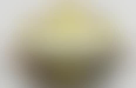 Bowl with cover (preview)