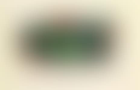 ”Fotoscop” (preview)