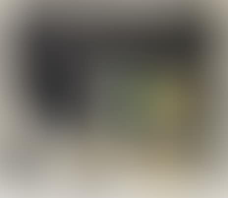 ”Pichet noir et citrons” (preview)