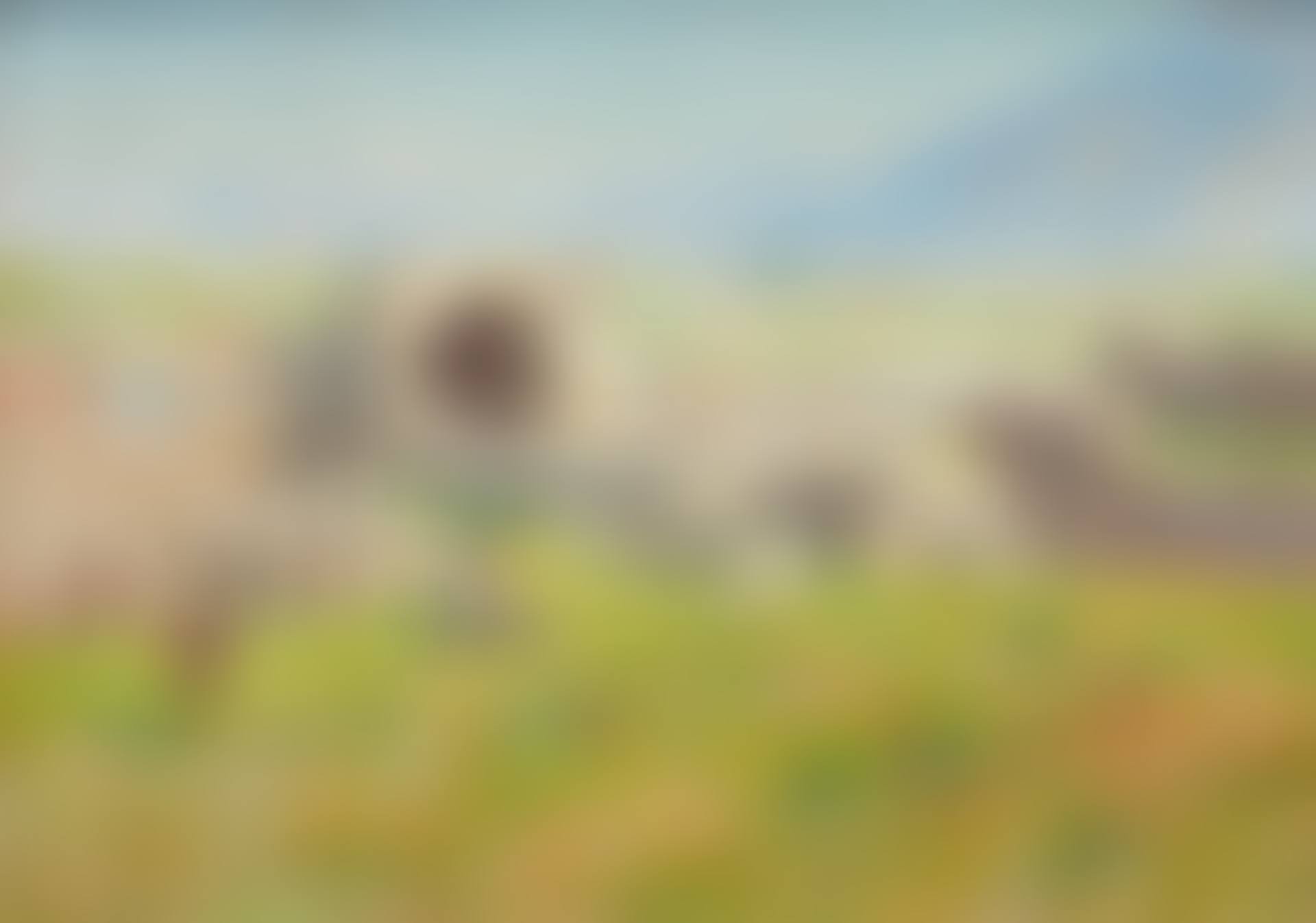 Pompeii (preview)