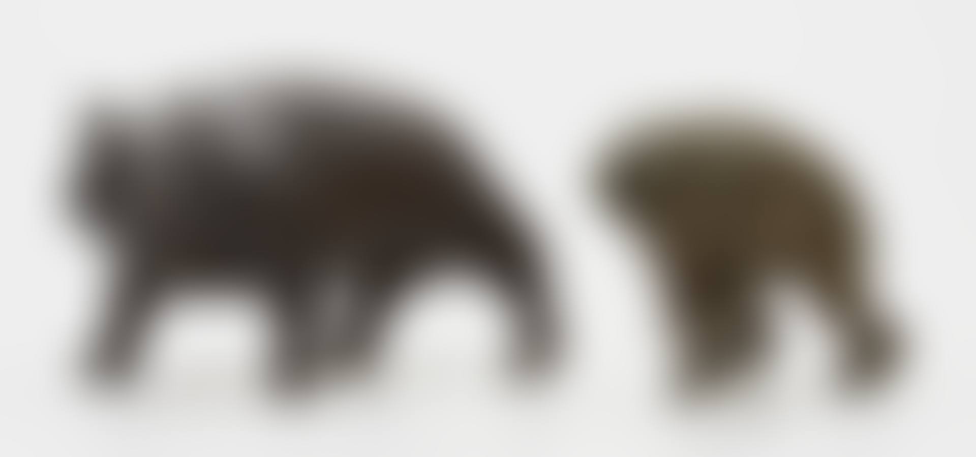 Monkey and Bear (preview)